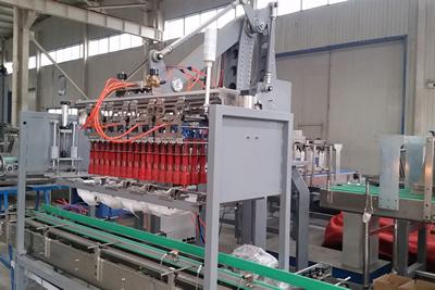 Robotic Case Packing System