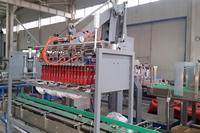 Robotic Case Packing System